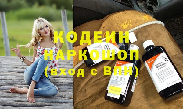 прущие грибы Гвардейск