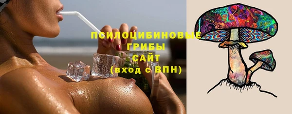 шишки Абаза