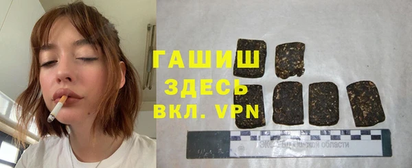 прущие грибы Гвардейск