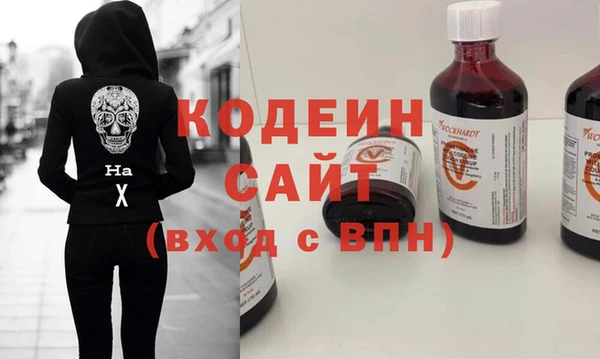 шишки Абаза