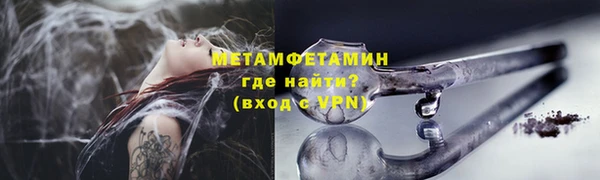 прущие грибы Гвардейск