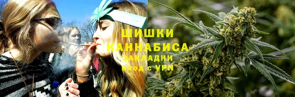 спайс Галич