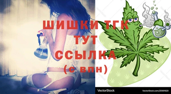 спайс Галич