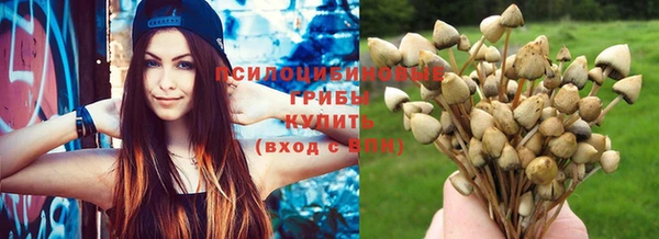 jwh Гатчина