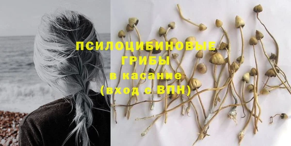 прущая мука Абдулино