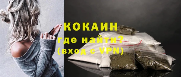 шишки Абаза