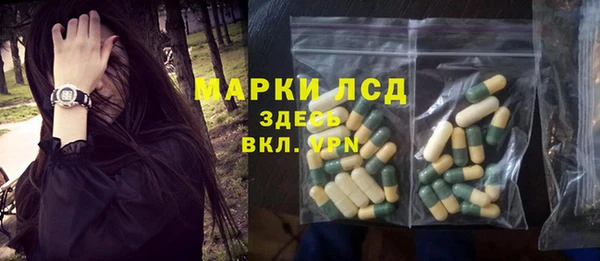 шишки Абаза
