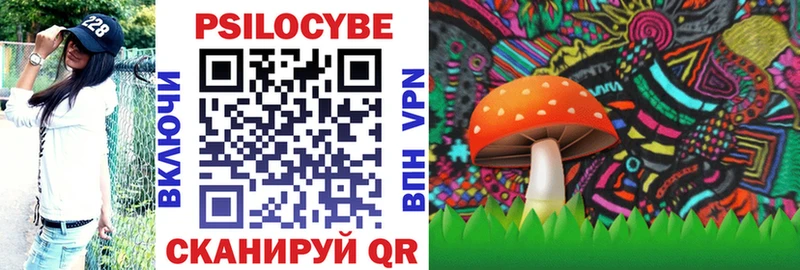 где купить   Камень-на-Оби  Псилоцибиновые грибы прущие грибы 